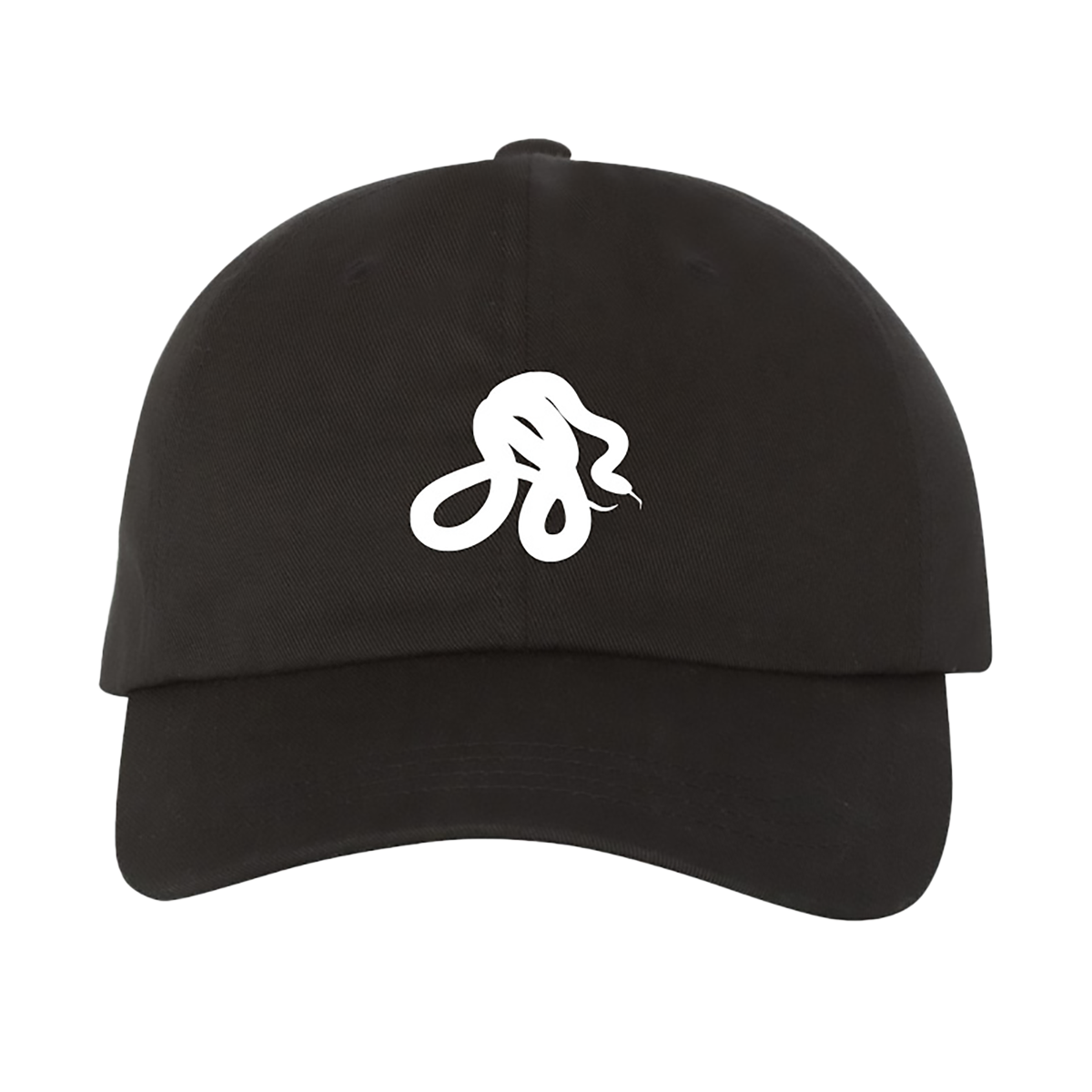snake casquette brodée